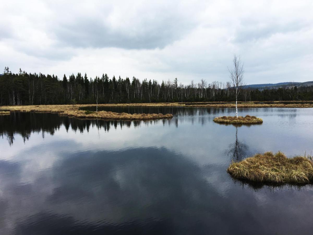 Apartmany Stozec - Nella Premium Bagian luar foto